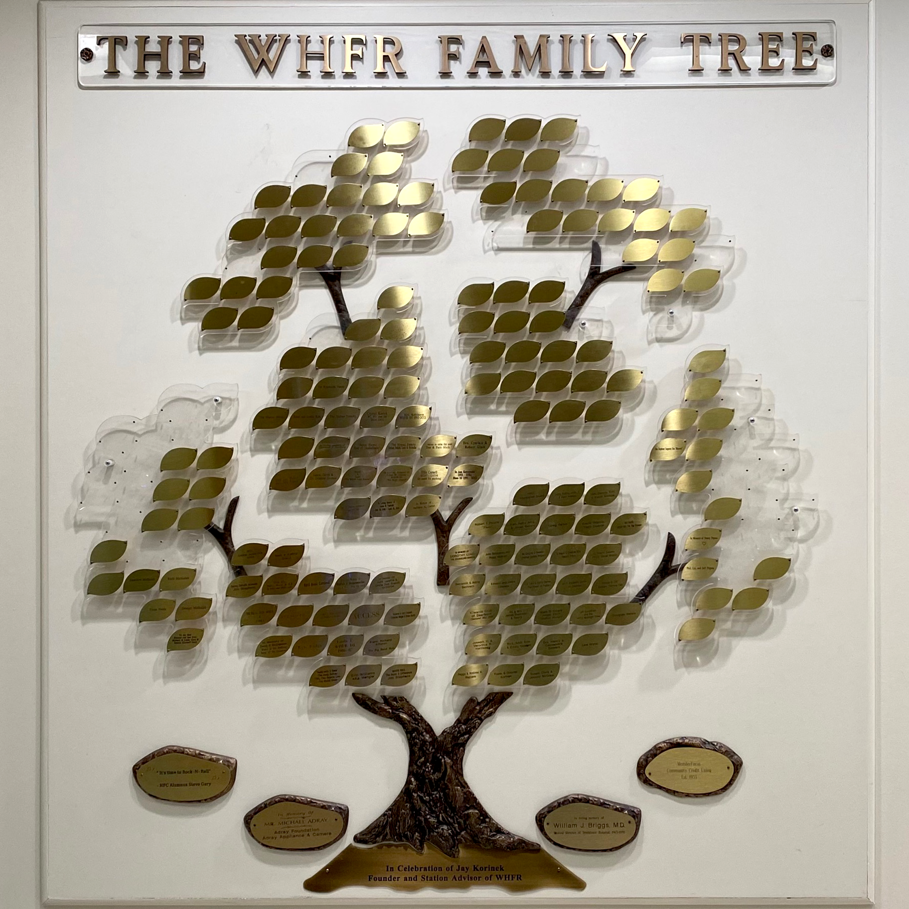 Image of WHFR Family Tree
